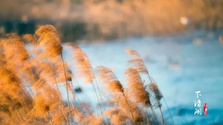 隐世安逸 寻味莫干山 --- 十八道弯漂流、莫干山、下渚湖、森泊度假乐园 疗休养4晚5天